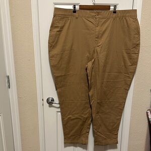 Lane Bryant Women's Tan Skinny Pants